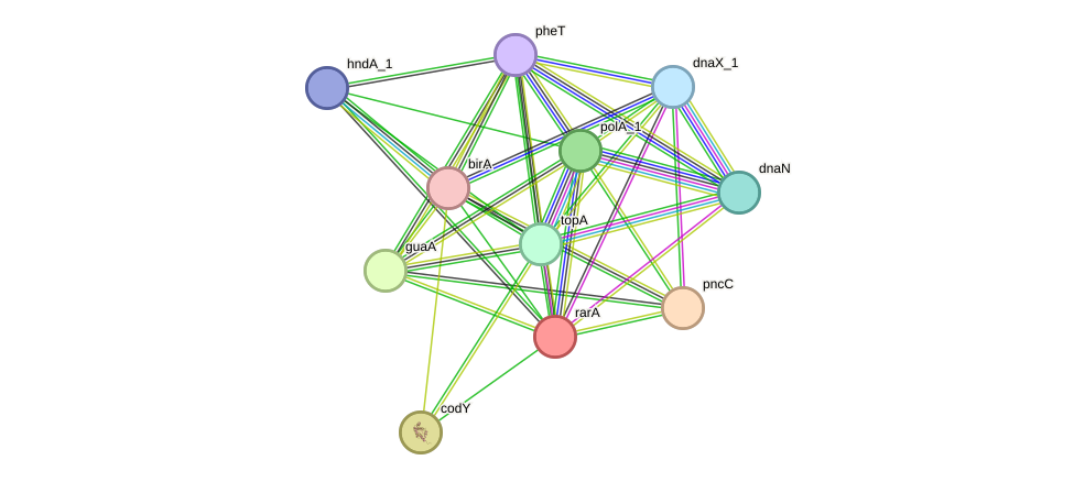 STRING protein interaction network