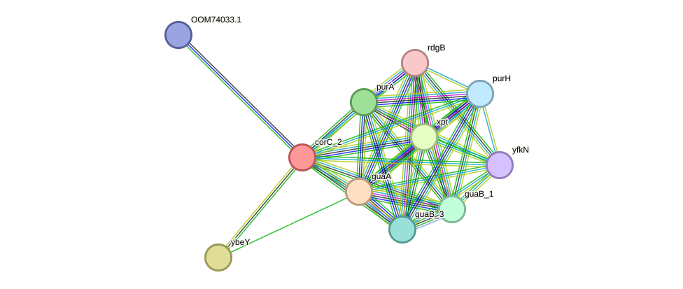 STRING protein interaction network
