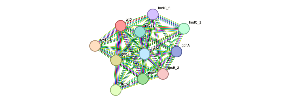 STRING protein interaction network