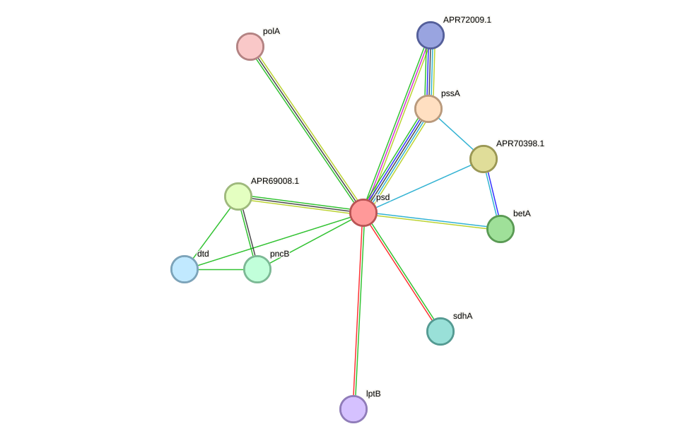 STRING protein interaction network