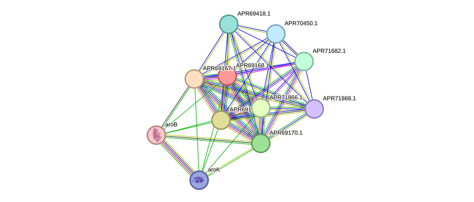 STRING protein interaction network