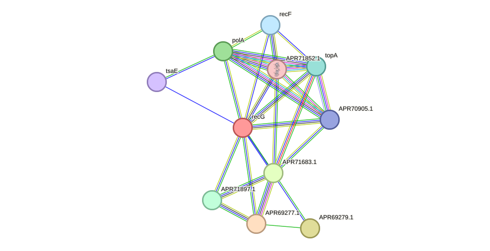 STRING protein interaction network