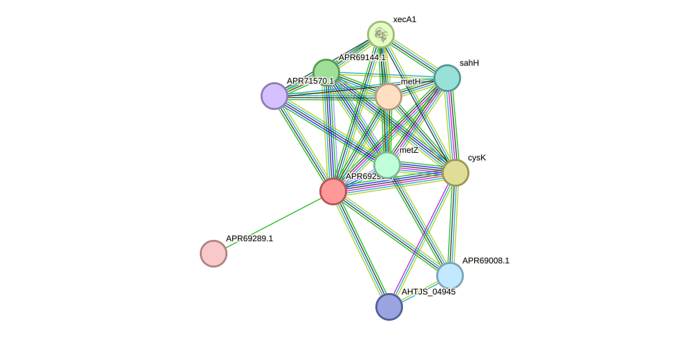 STRING protein interaction network