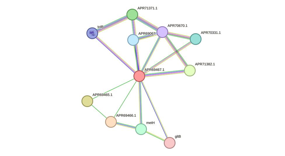 STRING protein interaction network