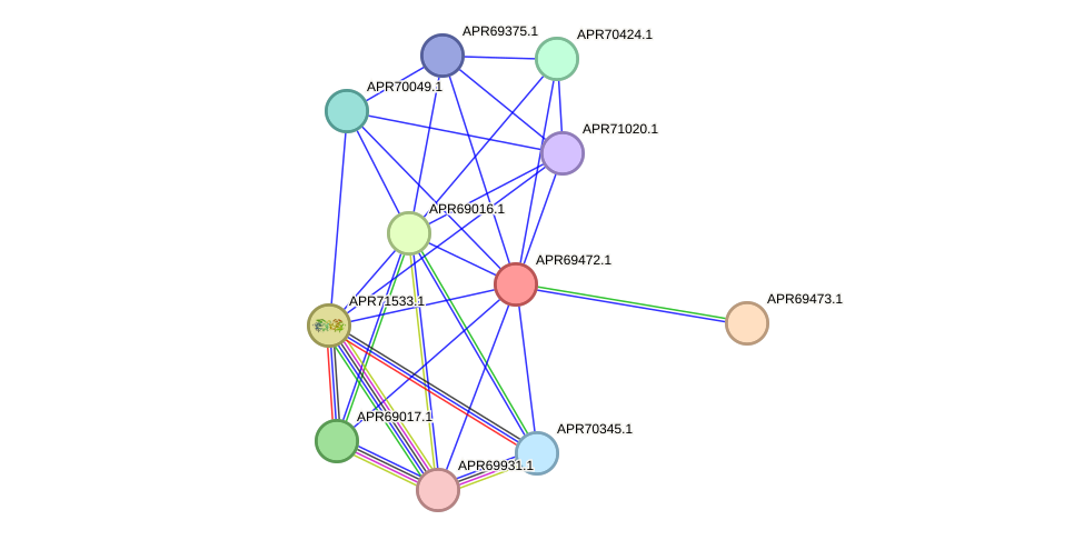 STRING protein interaction network