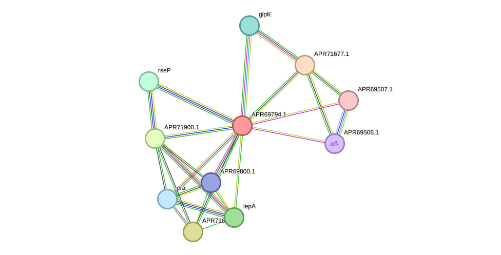 STRING protein interaction network