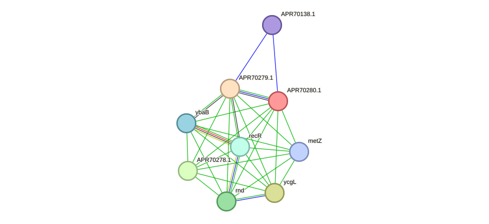 STRING protein interaction network