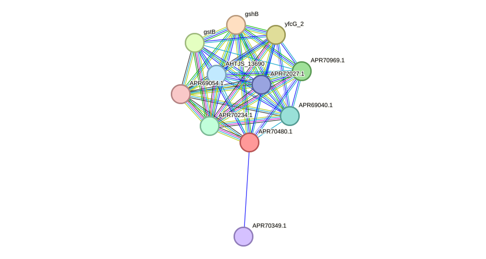 STRING protein interaction network