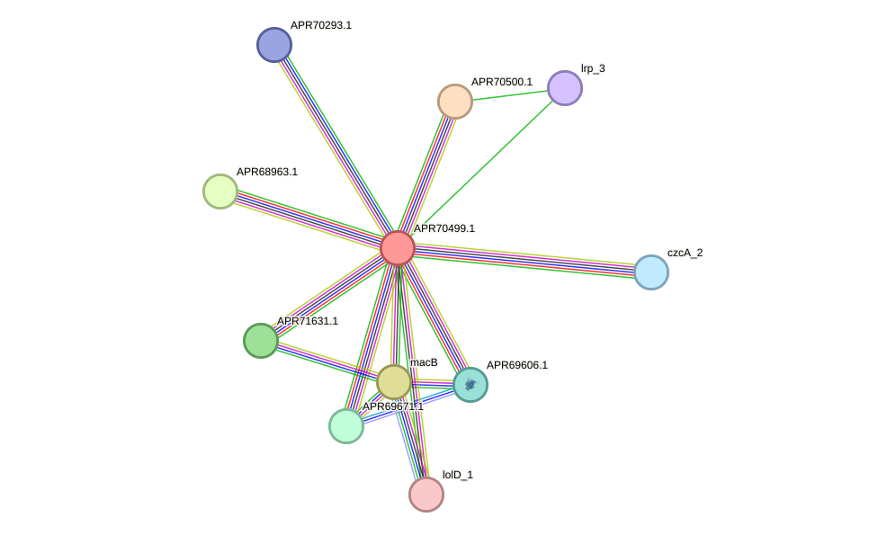 STRING protein interaction network