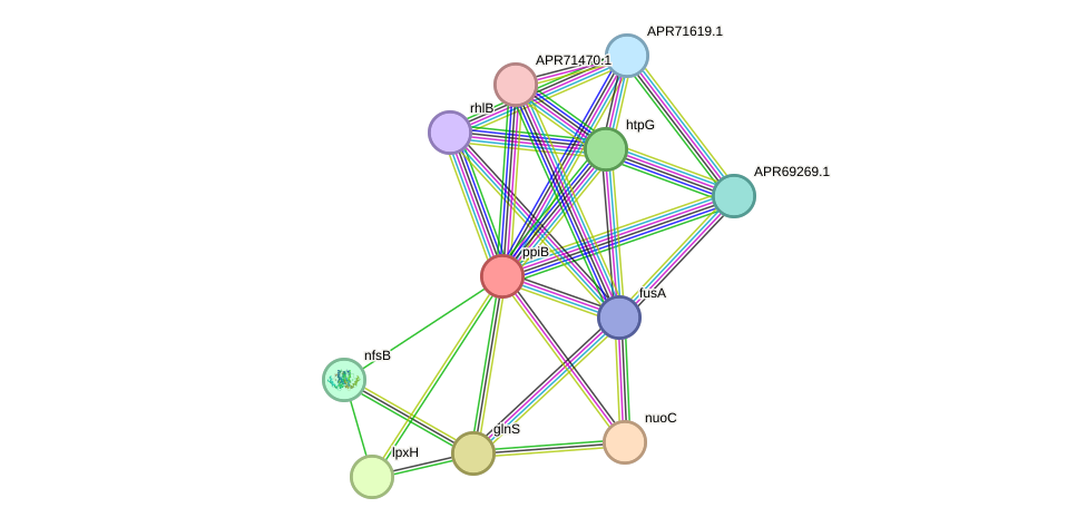 STRING protein interaction network
