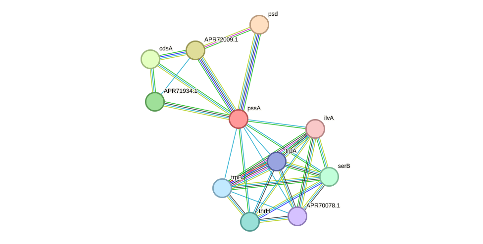 STRING protein interaction network