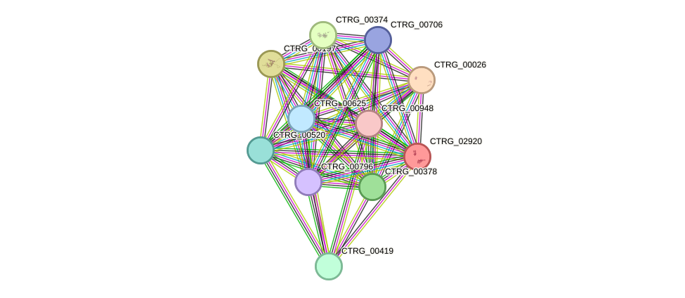 STRING protein interaction network