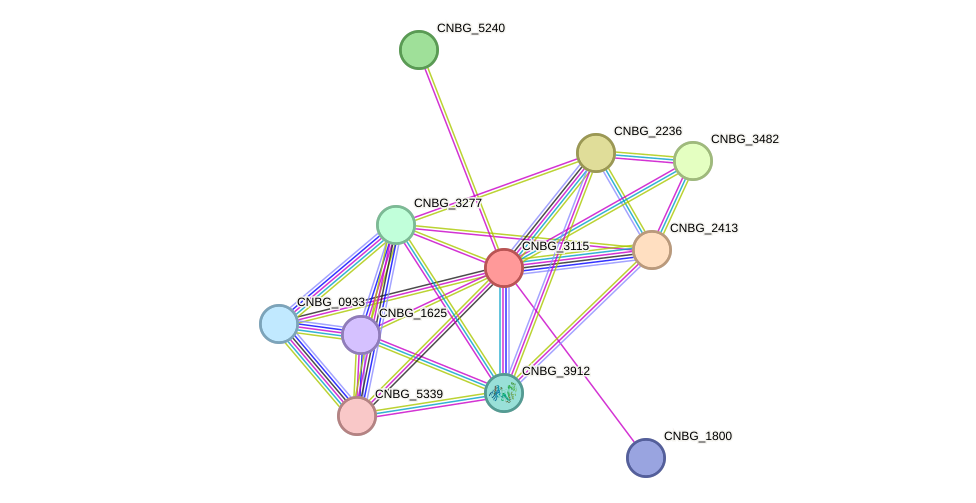 STRING protein interaction network