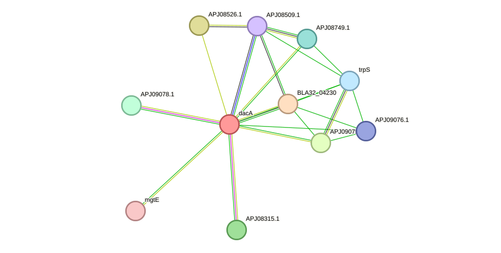 STRING protein interaction network