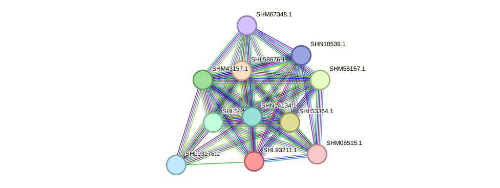 STRING protein interaction network