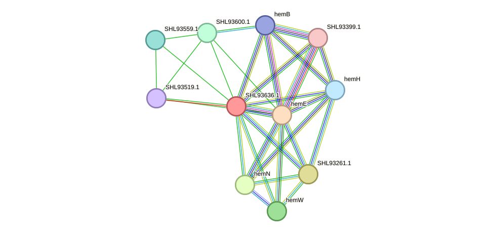 STRING protein interaction network