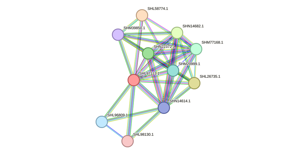 STRING protein interaction network