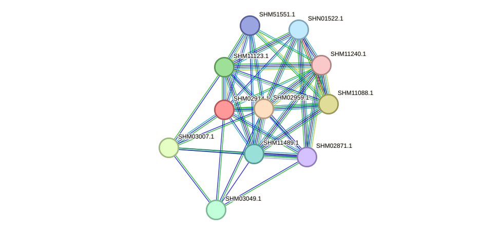 STRING protein interaction network