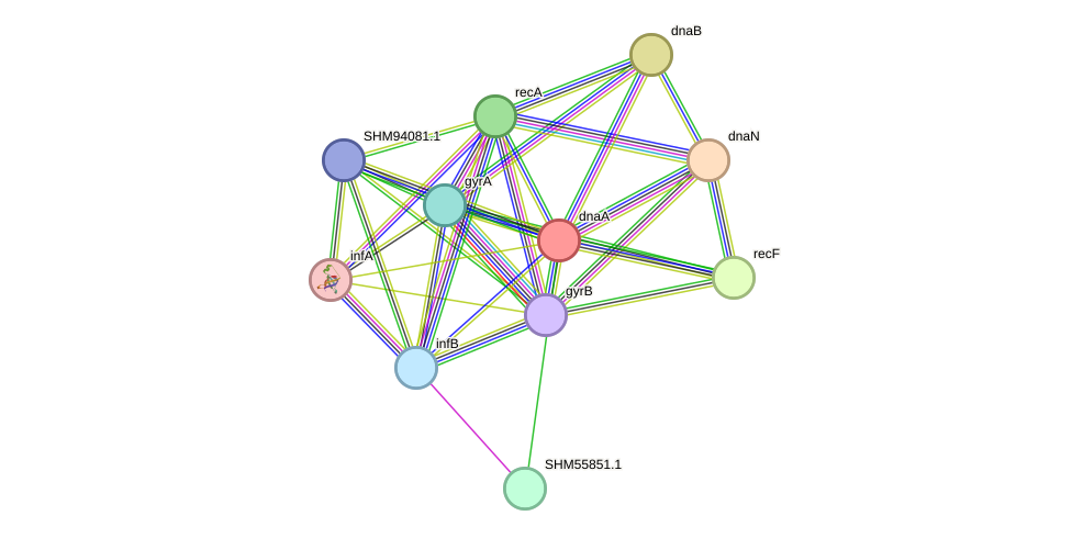 STRING protein interaction network