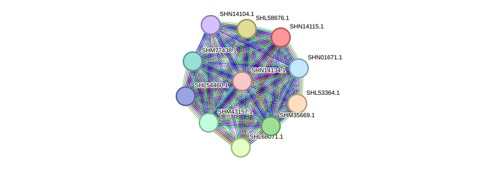 STRING protein interaction network