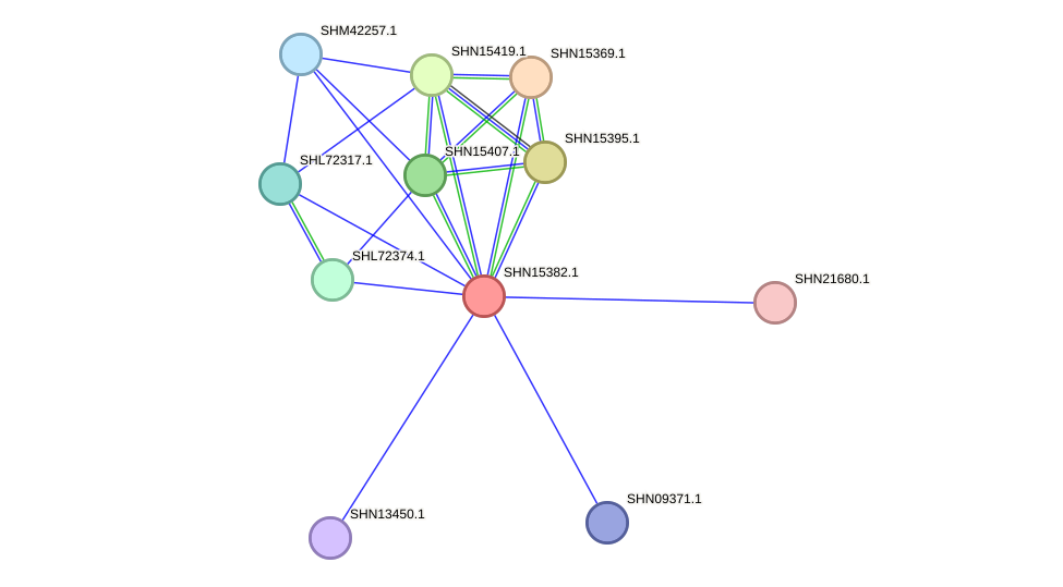 STRING protein interaction network