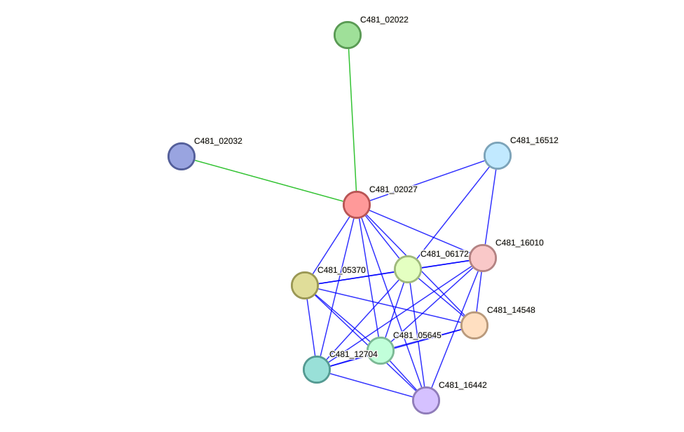 STRING protein interaction network