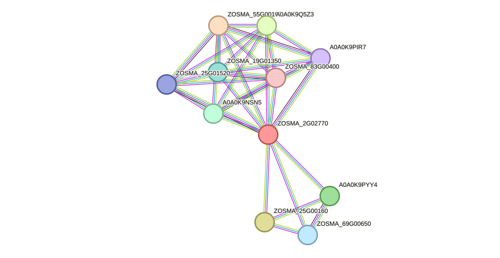 STRING protein interaction network