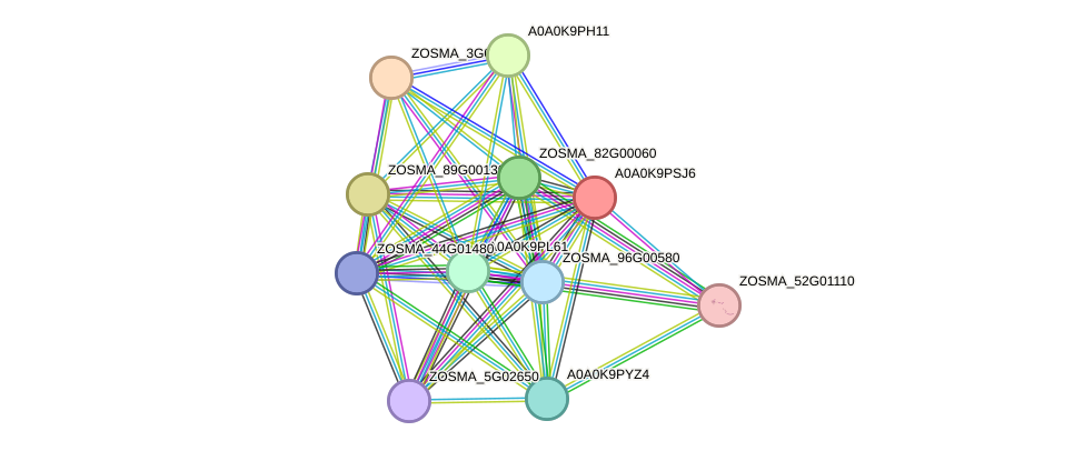 STRING protein interaction network