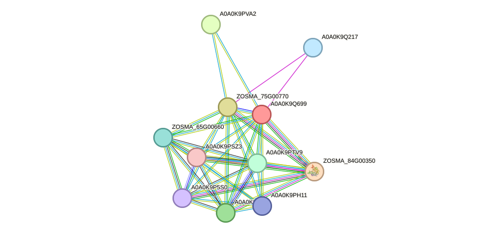 STRING protein interaction network