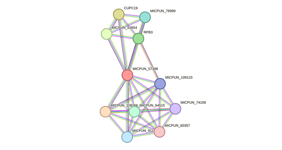 STRING protein interaction network