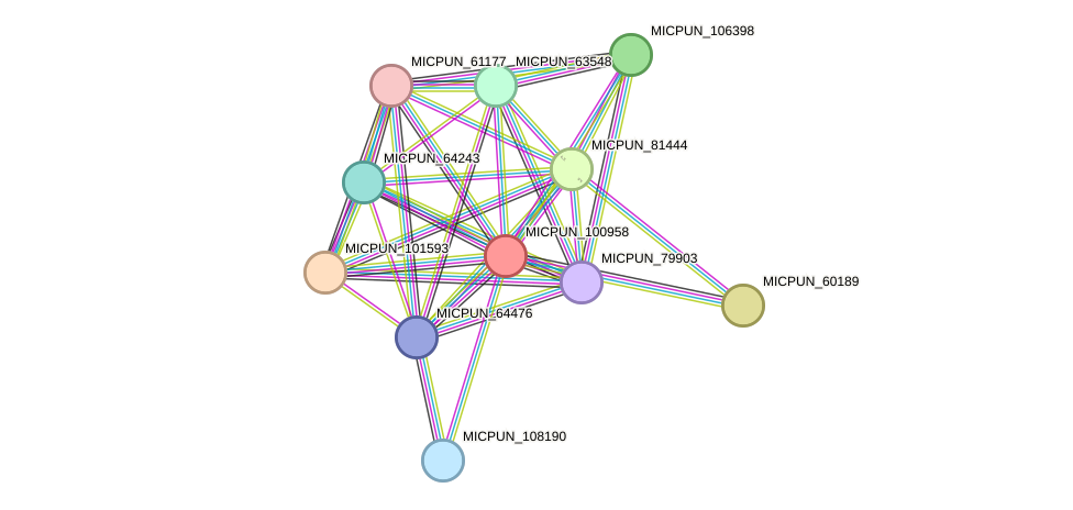 STRING protein interaction network