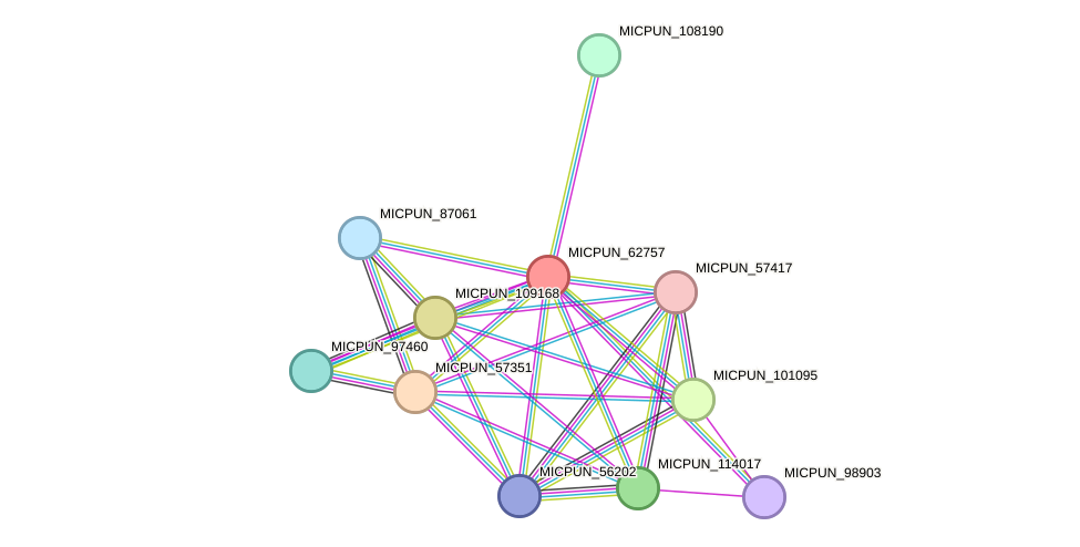 STRING protein interaction network