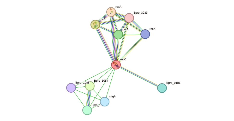 STRING protein interaction network