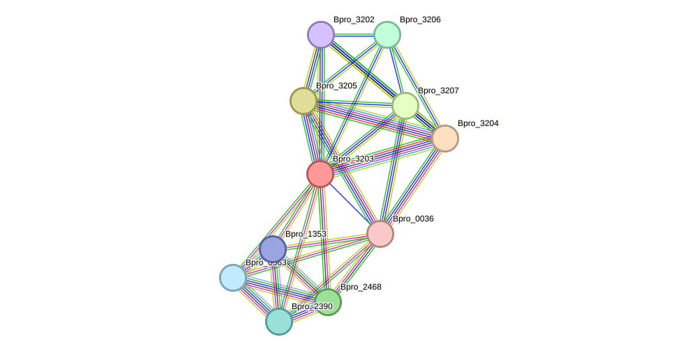 STRING protein interaction network