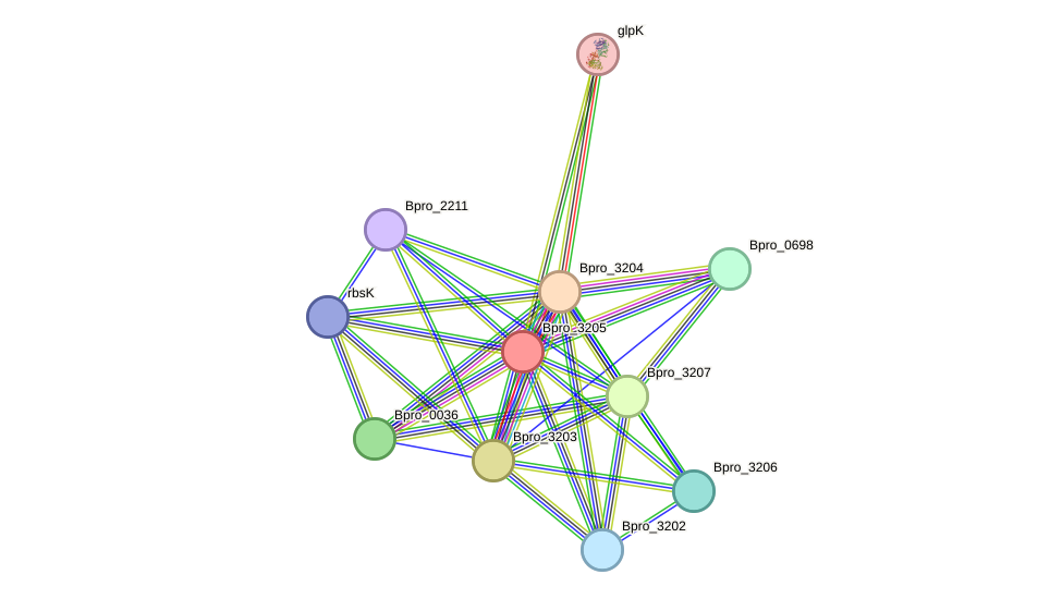 STRING protein interaction network