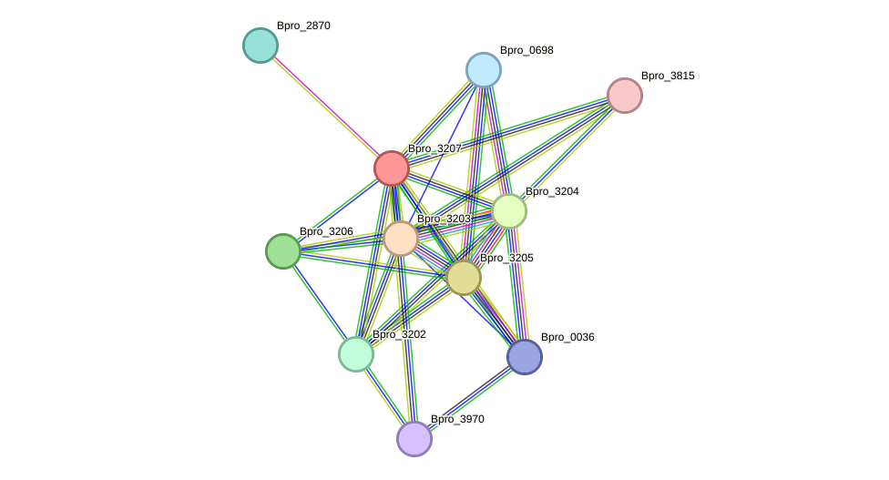 STRING protein interaction network