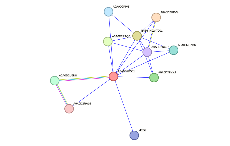 STRING protein interaction network