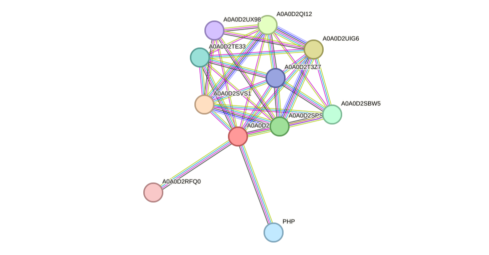 STRING protein interaction network