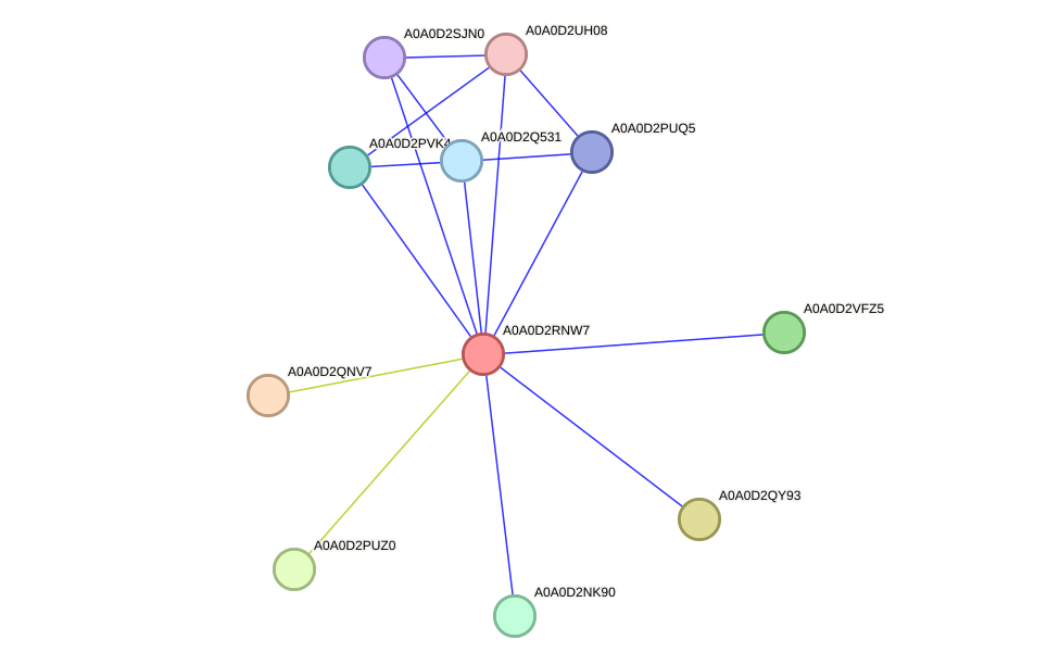 STRING protein interaction network