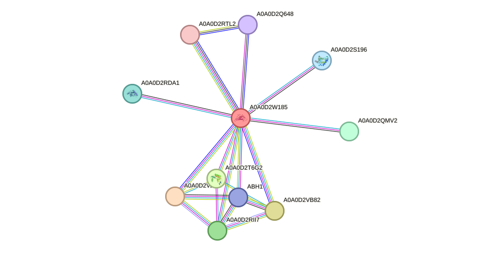 STRING protein interaction network