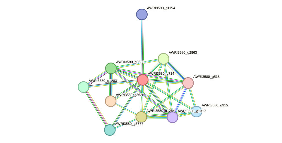 STRING protein interaction network