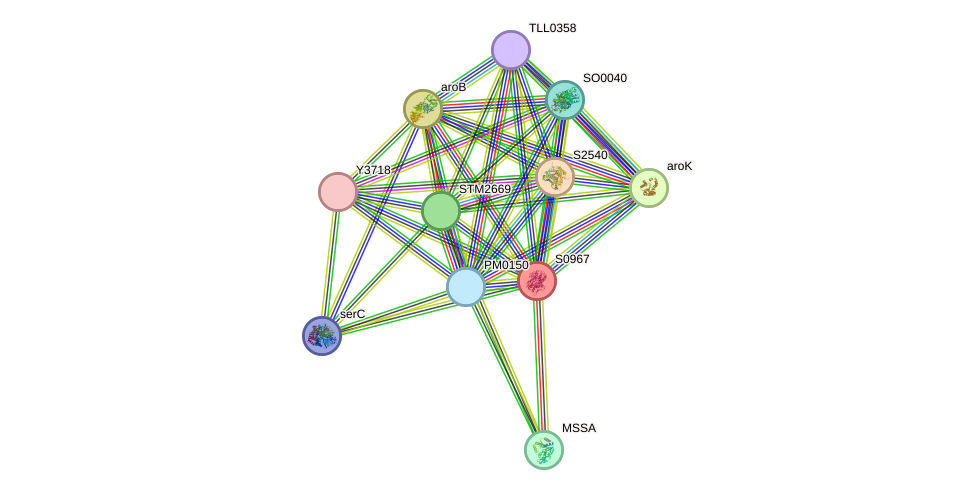 STRING protein interaction network