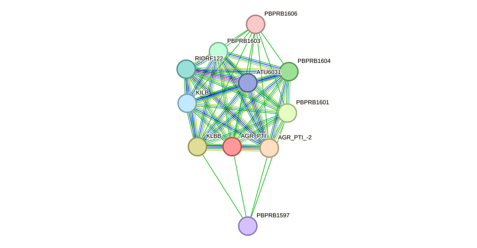 STRING protein interaction network