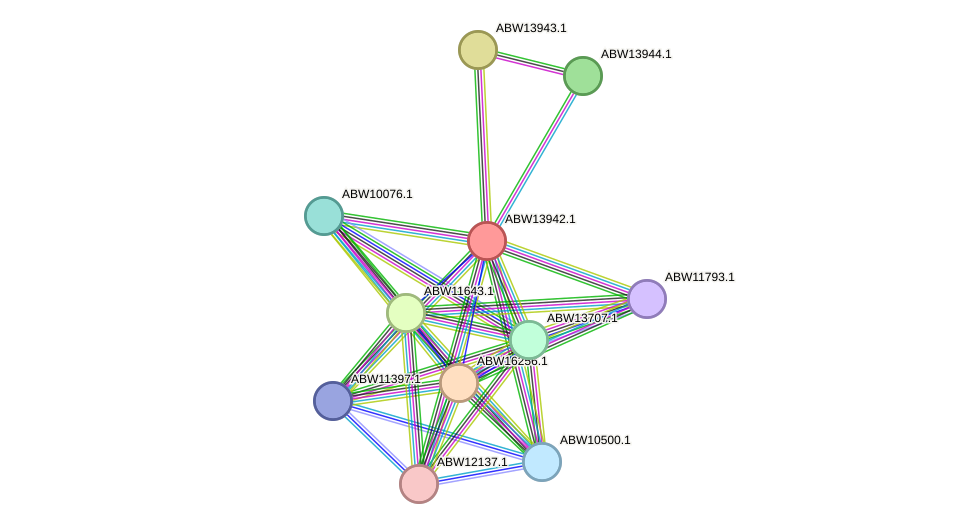 STRING protein interaction network