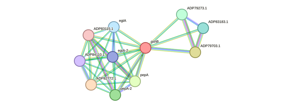 STRING protein interaction network