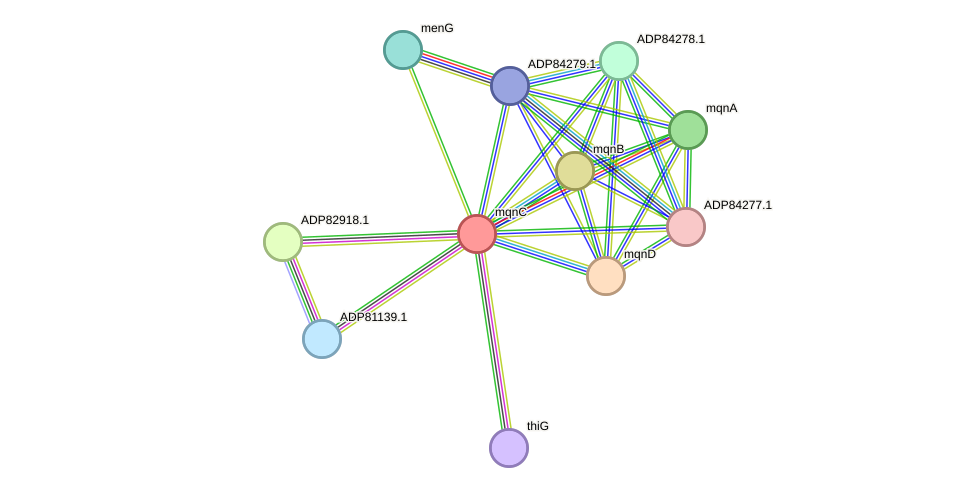 STRING protein interaction network