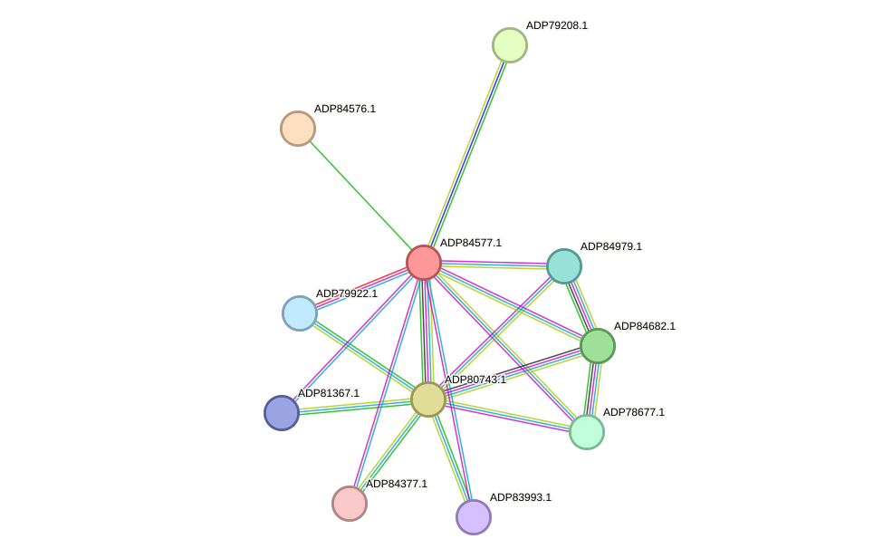 STRING protein interaction network