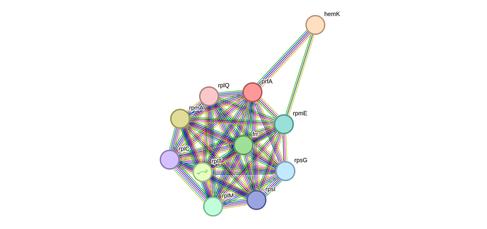 STRING protein interaction network