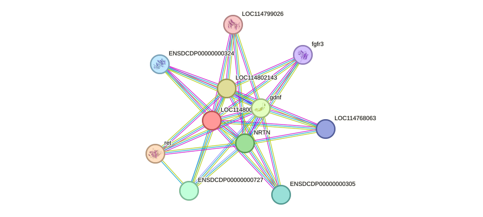 STRING protein interaction network