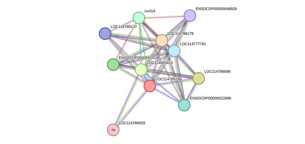 STRING protein interaction network